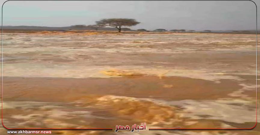 أخبار مصر 2050