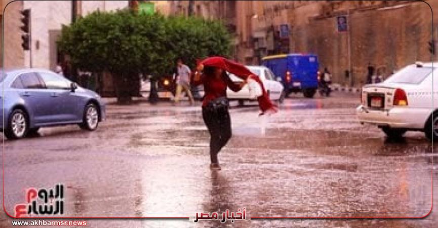 أخبار مصر 2050