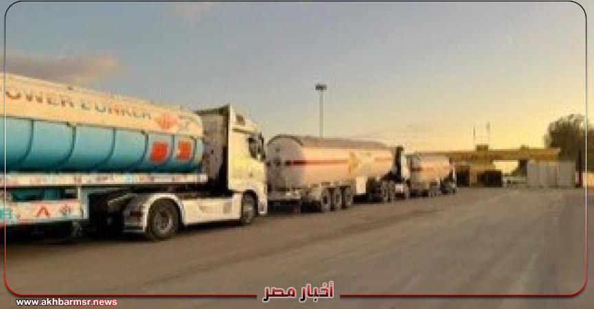 أخبار مصر 2050