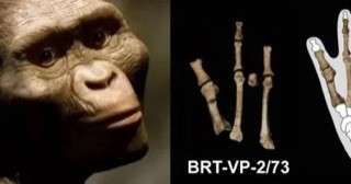 اكتشاف قدم غامضة عمرها 3.4 مليون سنة يشير إلى وجود نوع بشري آخر غير «لوسي».