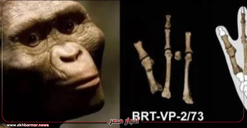 أخبار مصر 2050