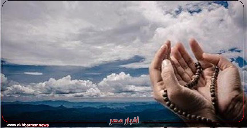 أخبار مصر 2050