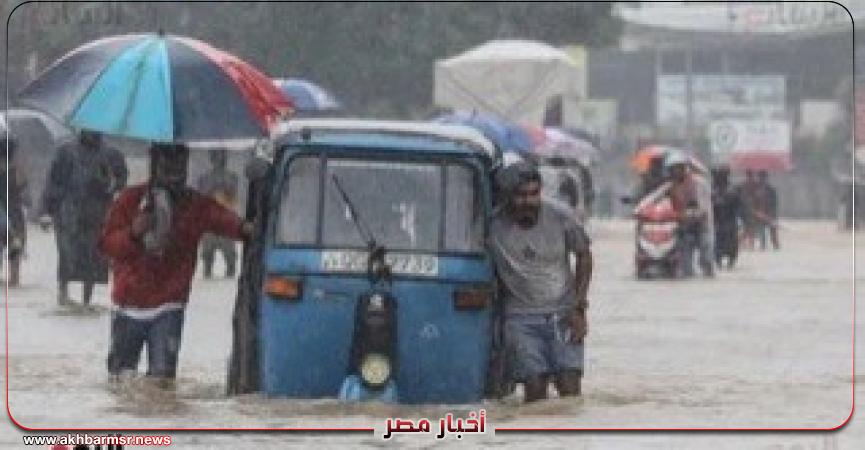 أخبار مصر 2050