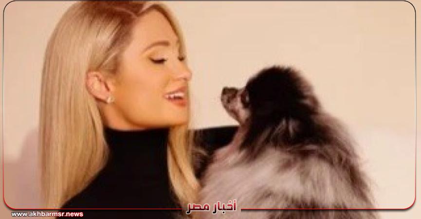 أخبار مصر 2050