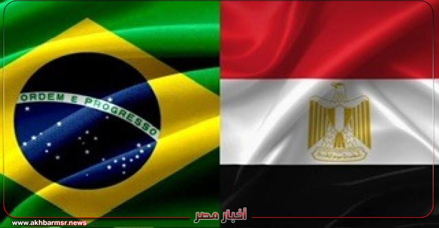 أخبار مصر 2050