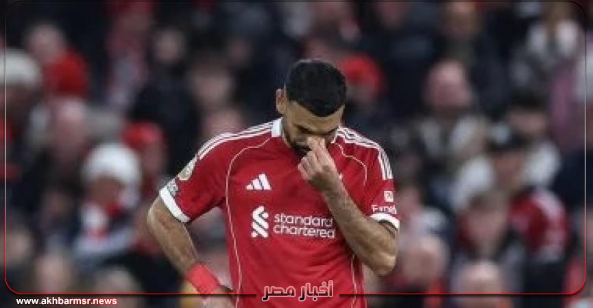 أخبار مصر 2050