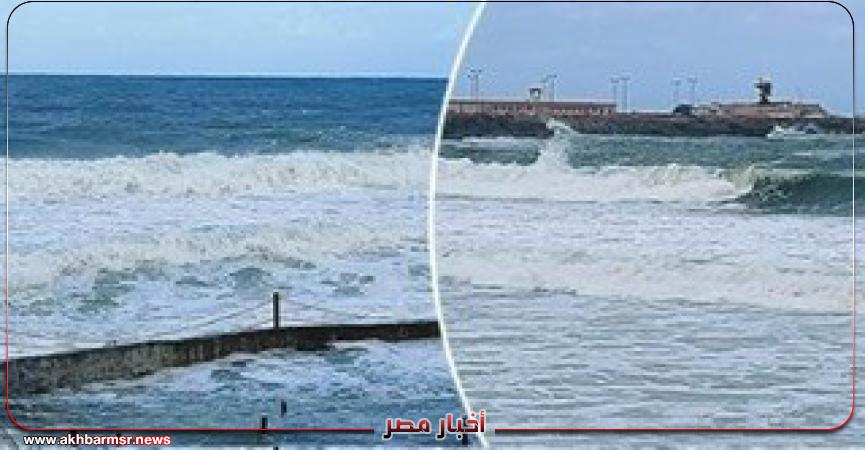 أخبار مصر 2050