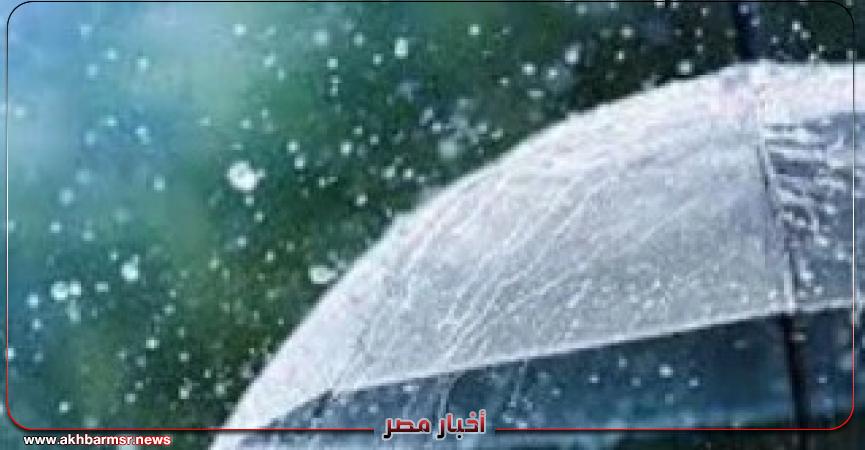 أخبار مصر 2050