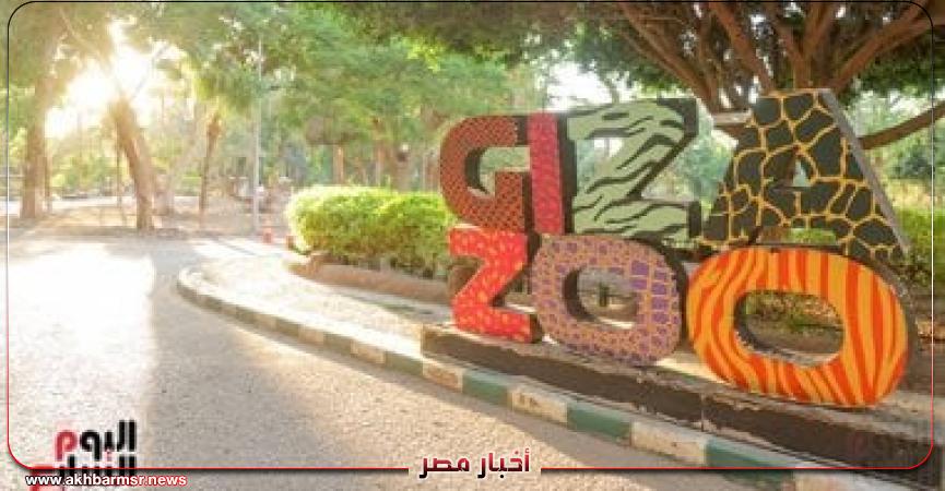 أخبار مصر 2050