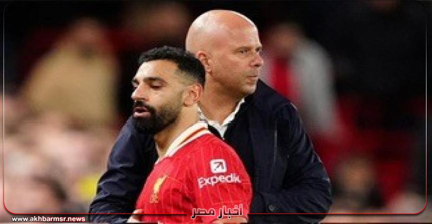 أخبار مصر 2050