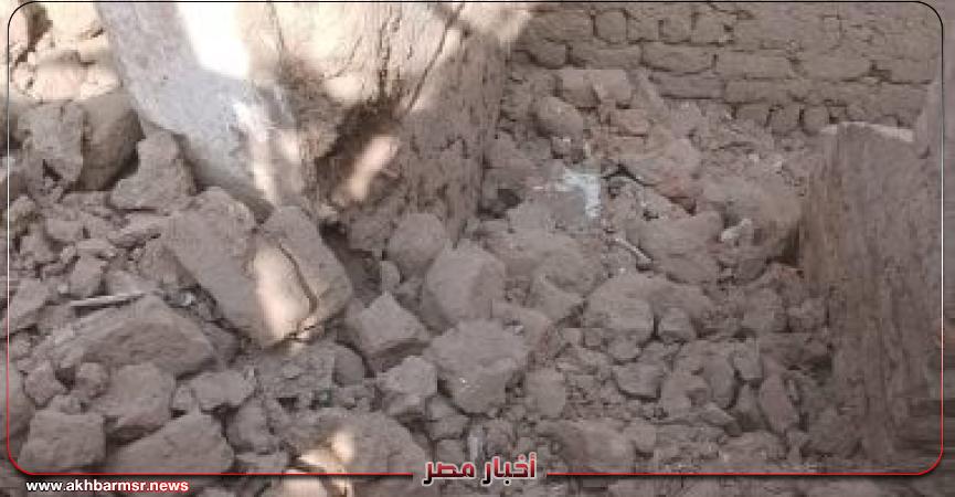 أخبار مصر 2050