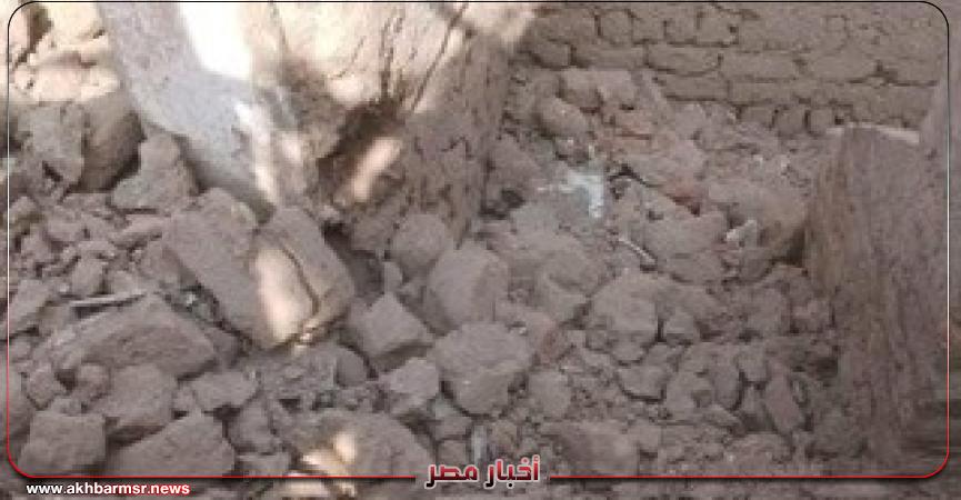 أخبار مصر 2050