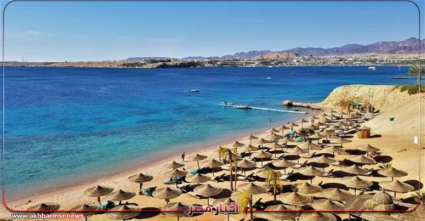 أخبار مصر 2050