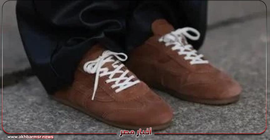 أخبار مصر 2050