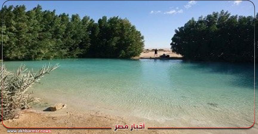 أخبار مصر 2050