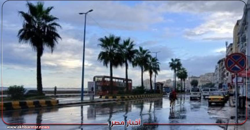 أخبار مصر 2050