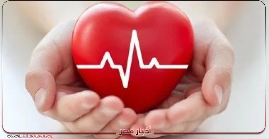 أخبار مصر 2050