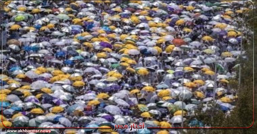 أخبار مصر 2050