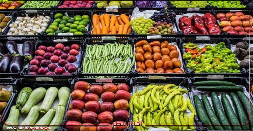 أخبار مصر 2050