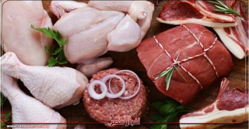 أخبار مصر 2050