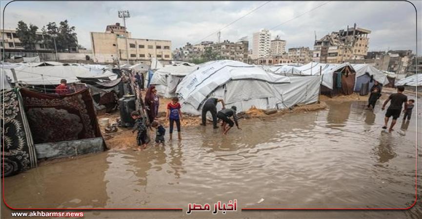 أخبار مصر 2050