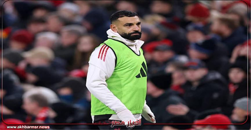 أخبار مصر 2050