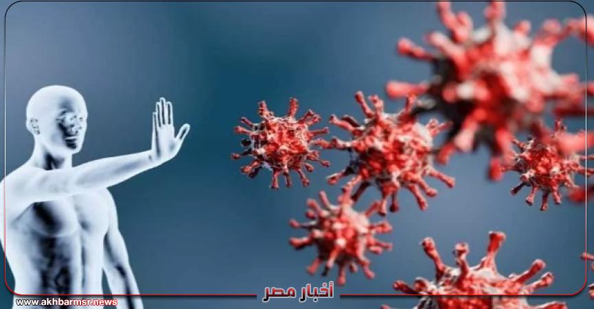 أخبار مصر 2050