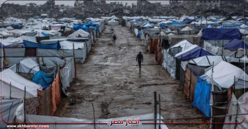 أخبار مصر 2050