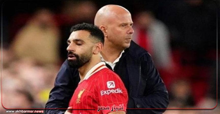 أخبار مصر 2050