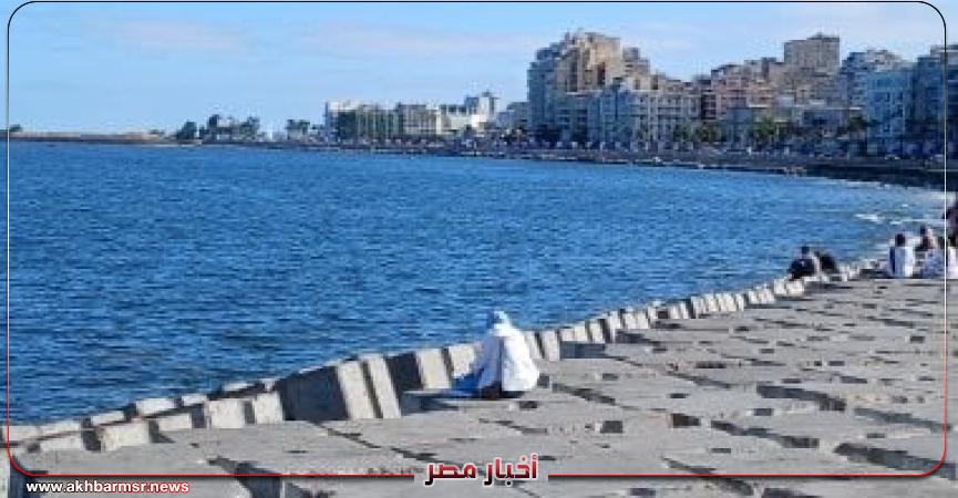 أخبار مصر 2050