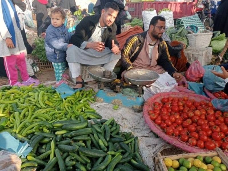 تعرف على أسعار الطماطم والبصل والفاكهة بأسواق الشرقية اليوم الإثنين 22 ديسمبر 2025