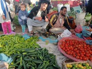 تعرف على أسعار الطماطم والبصل والفاكهة بأسواق الشرقية اليوم الإثنين 22 ديسمبر 2025