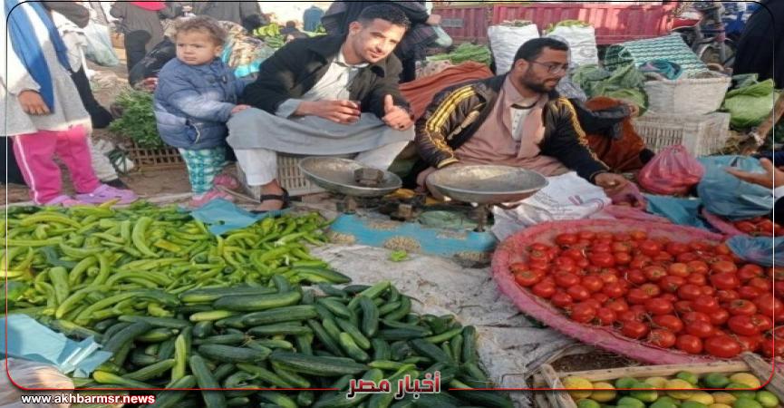 أخبار مصر 2050