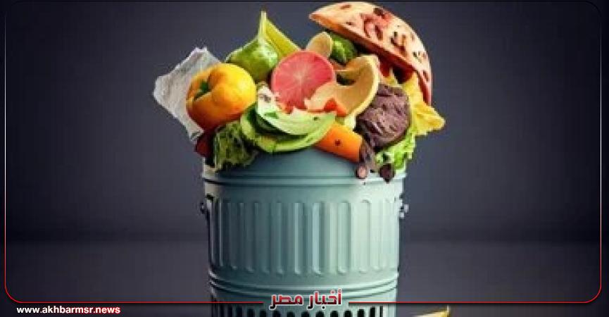 أخبار مصر 2050