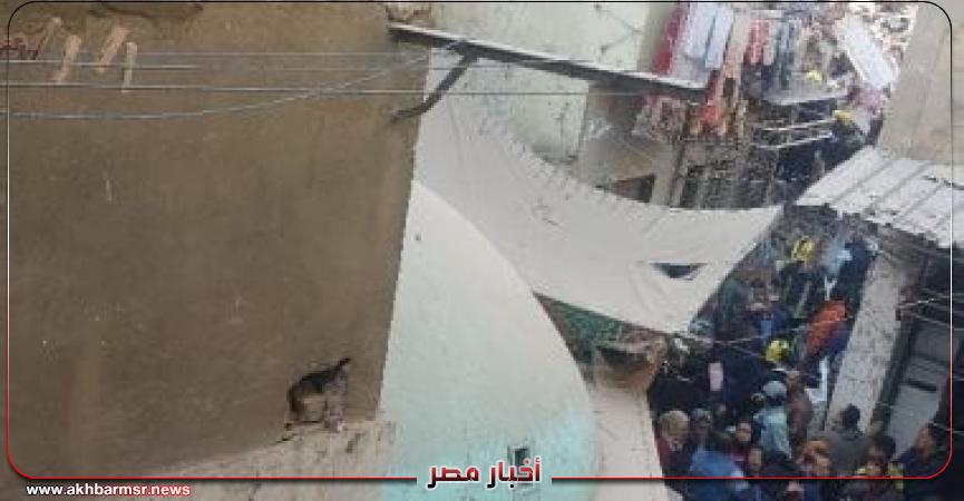 أخبار مصر 2050