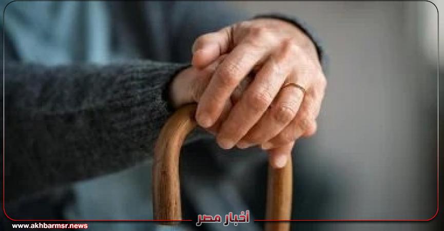 أخبار مصر 2050