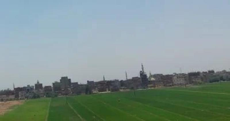 تحذيرات من الشبورة والبرودة الشديدة.. الأرصاد تكشف ملامح طقس الأربعاء