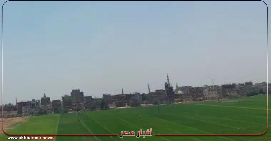 أخبار مصر 2050