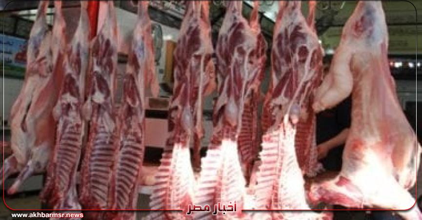 أخبار مصر 2050