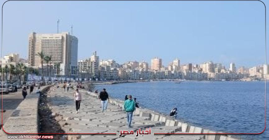 أخبار مصر 2050