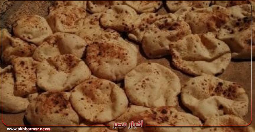 أخبار مصر 2050