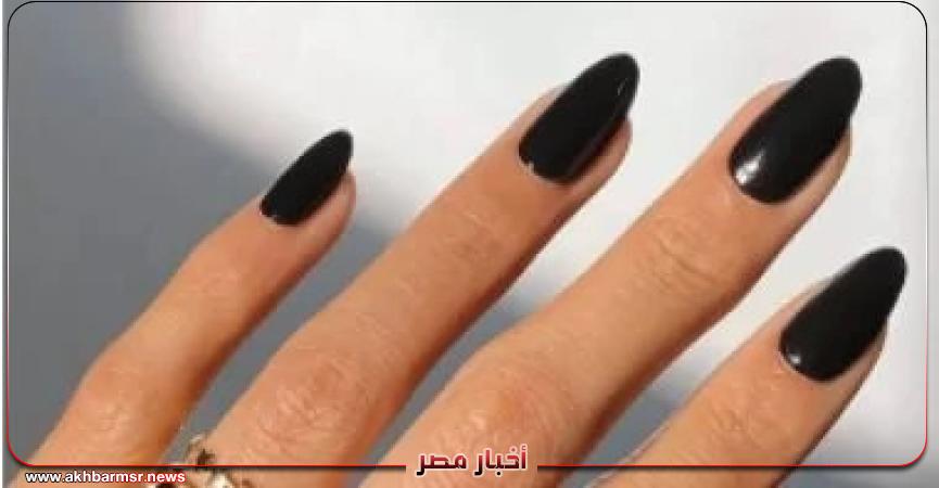 أخبار مصر 2050