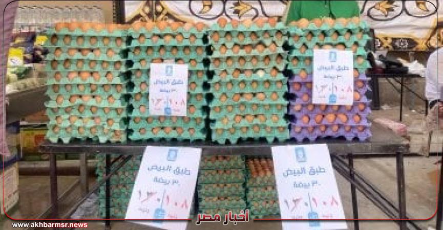 أخبار مصر 2050