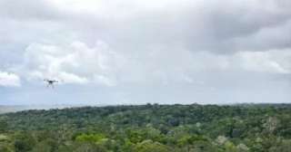 أمل فى زمن الظلام.. الطبيعة تحقق 6 إنجازات بيئية فى 2025 أمل فى زمن الظلام.. الطبيعة تحقق 6 إنجازات بيئية فى 2025