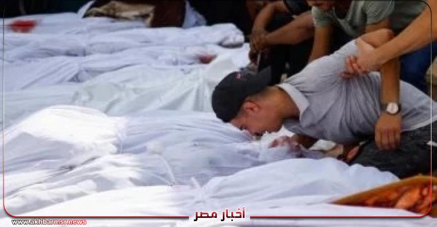 أخبار مصر 2050