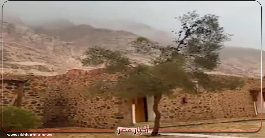 أخبار مصر 2050