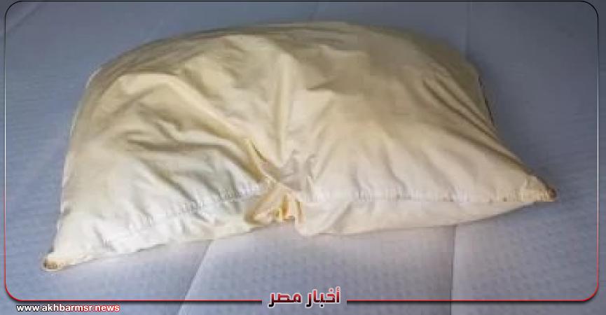 أخبار مصر 2050