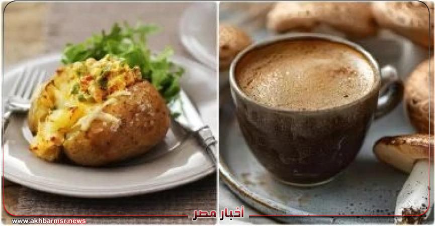 أخبار مصر 2050