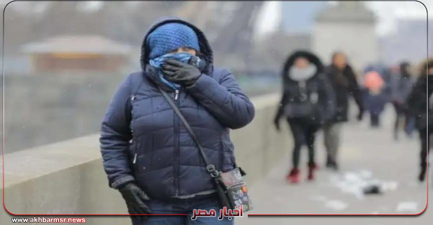 أخبار مصر 2050