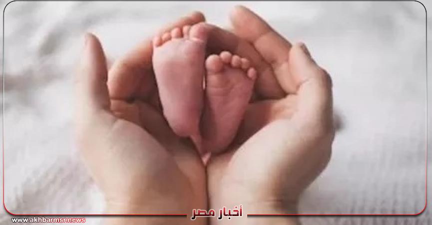 أخبار مصر 2050